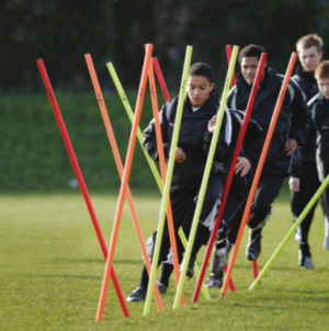 Precision Training Boundary Poles (Set of 12)